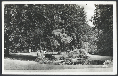 17602 Gezicht in het park met vijver op het landgoed van de Stichting Kerk en Wereld / Academie De Horst (Hoofdstraat ...